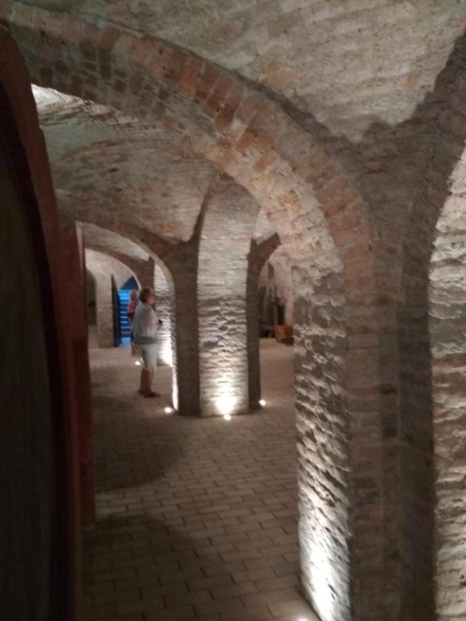 Golya Vendeghaz Apartment Tiszaug Екстериор снимка